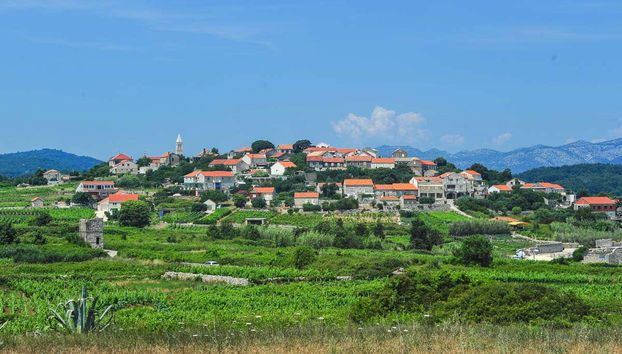 Lumbarda Bike & Wine Tasting Tour - Foto 3