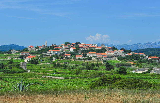 Excursion à Lumbarda à vélo + Dégustation de vins - Photo 3