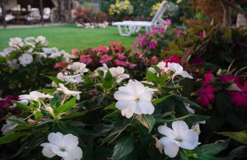 Villa Begonia by the sea - Photo 21