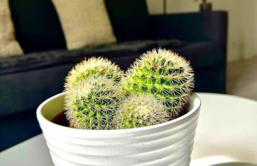 Maison des Artistes de Barbizon - Foto 23