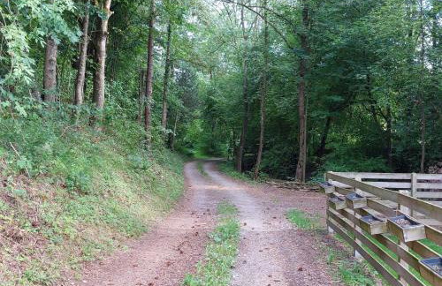 Ferienwohnung, offenes Apartment - Photo 19