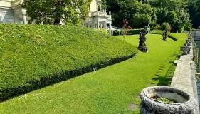 Una magnolia in Cademartori - Foto 3