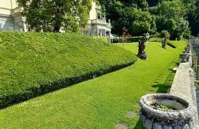 Una magnolia in Cademartori - Foto 3