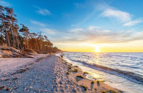 Sonnenblume in der Seefahrtschule - Foto 20
