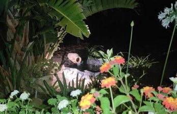 Villa Emilia - Foto 30