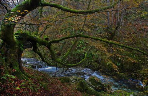 Apartamentos la Regoria - Foto 60