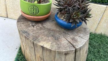 Villa Amaryllis - Foto 3