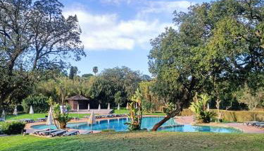 Albufeira - Casa Balaia Resort - Foto 4, Garden, Garden view