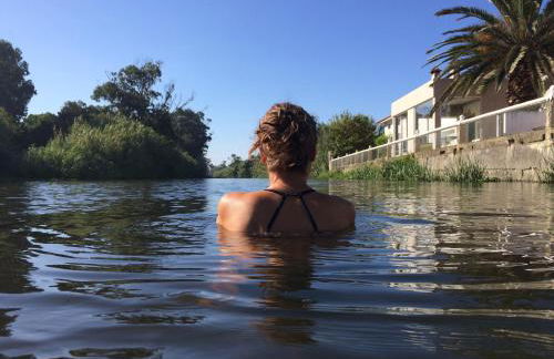 Bico das flores - Foto 72