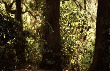 PHI Simple Living Quarters - Foto 27