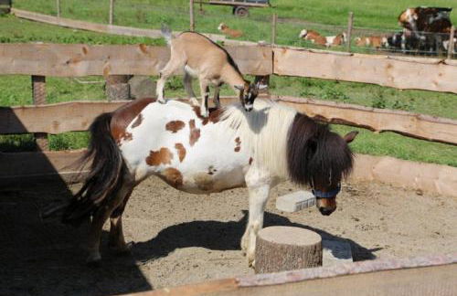 Wolfeicherhof - Foto 13