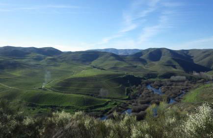 Casa da Laja - Casas de Villar- Rural Experience - Foto 29