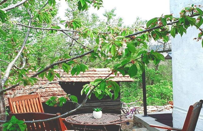 Holiday Home Dream - Holiday Home - Foto 13