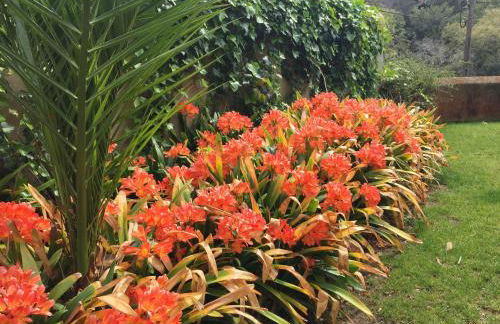 Luxurious royal estate in historic Sintra paradise - Foto 28