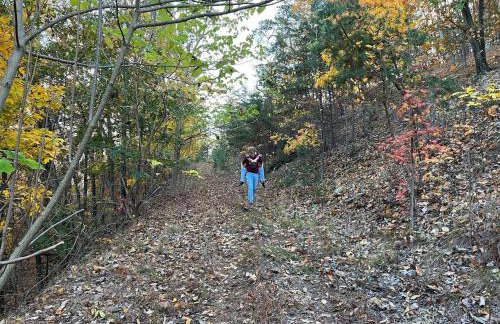Secluded LUX Bunker Hot Tub, Views & Trails - Foto 7