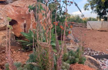 Quinta do Sr. Cabrita - Foto 57