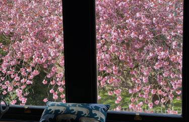 Wuthering Heights - Foto 21