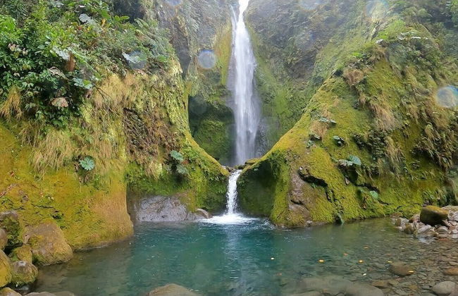 Selvática del Toro - Foto 43