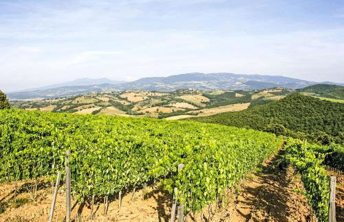 Holiday Home Grotte Rosse by Interhome - Foto 33