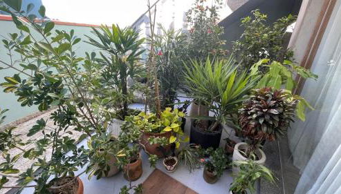 Apto térreo, 2 quartos a 5min da Vila Germânica, com ar e garagem - Foto 4