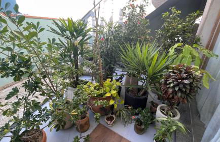 Apto térreo, 2 quartos a 5min da Vila Germânica, com ar e garagem - Foto 4