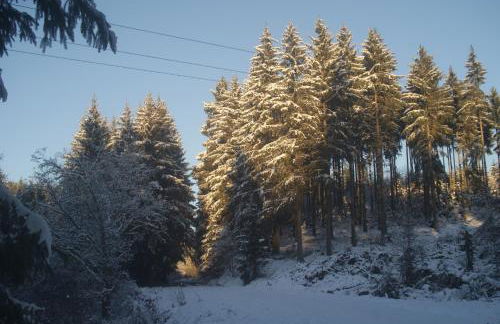 Ferienwohnung Im Alftal, Bleialf - Foto 19