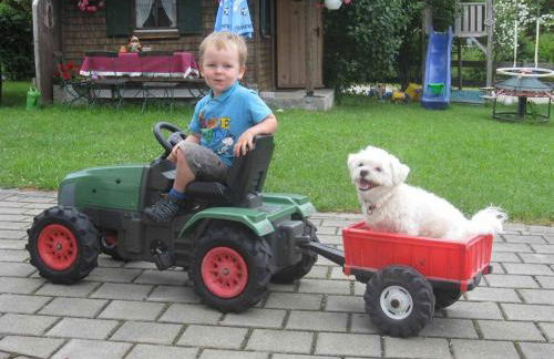 Veiter-Hof - Foto 55