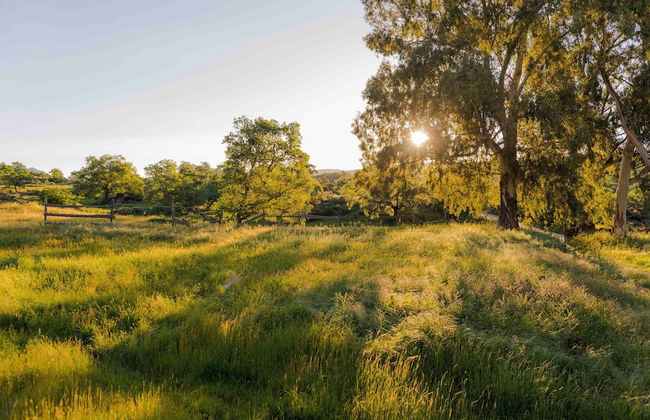 Finca El Cabezo - Foto 19