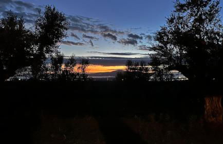 The Secret Garden at Villa Georgia Kalamata - Foto 50