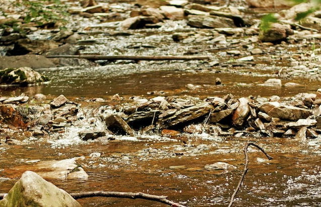 Studio in Former Coach House - Photo 17