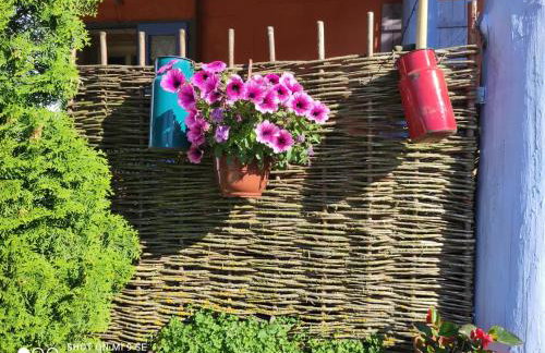 Folwark Malinowy Chruśniak - Foto 57