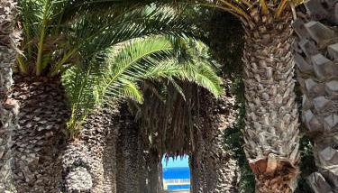 Oceano Azul - Foto 2