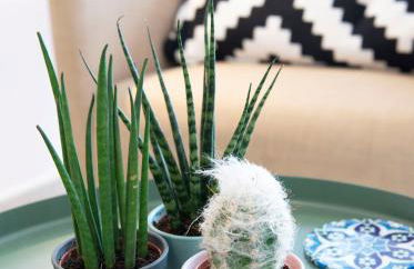 La Tierra Sur apartment Malaga Center - Photo 34