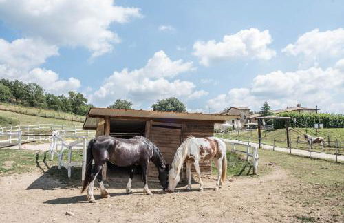 Agriturismo Goccia di Luna - Foto 8