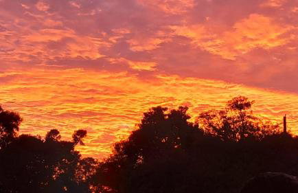 Quinta da Boa Vista São Chico - Foto 47