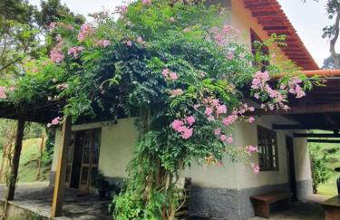 Paraíso na Serra pra Relaxar - Foto 49