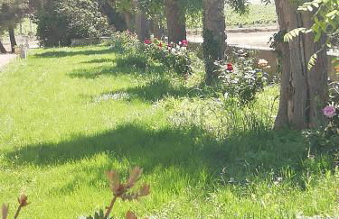 Domaine de la Vidalle - Foto 63