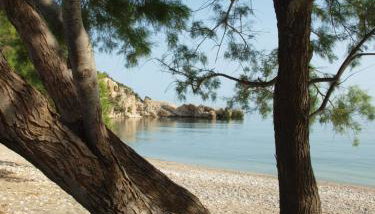 Pallos studio - Foto 2