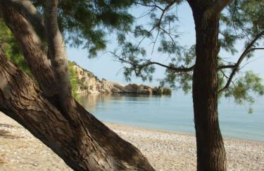 Pallos studio - Foto 2