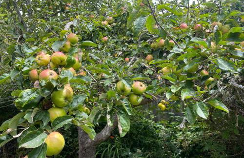 Pacific Sands @ The Nook - Foto 46