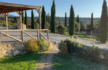 Podere Montale Il Borgo - Foto 42