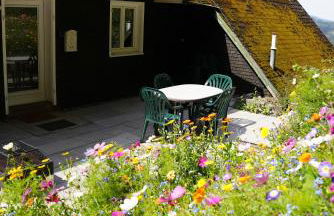 Schwarzwald Chalet - Karlshütte - Photo 42