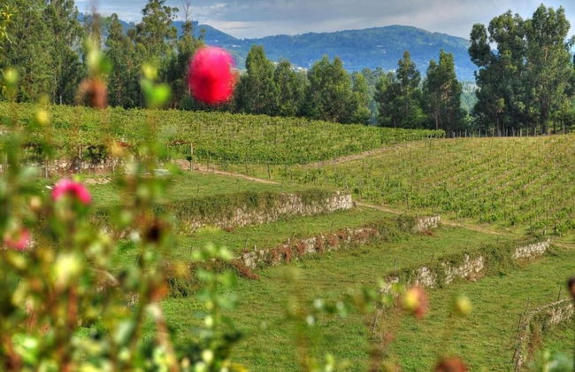 Holiday Home in Ponte de Lima With Pool - Foto 41