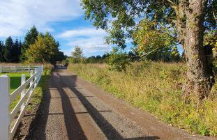 SierPlejs Hill - domki przy szlaku w Górach Sowich - Foto 34