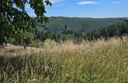 Appartement am Landhaus - Photo 9