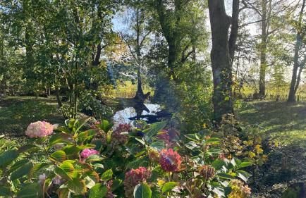 Dachgeschosswohnung Warft Simmerdeis in Reetdachhaus mit parkähnlichem Garten - Foto 26