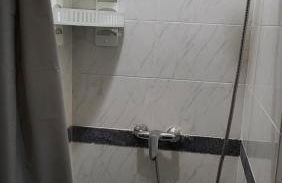 The Blue Hydrangea - Photo 4