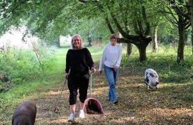 Starry Meadow & Rescued Animal Experiences - Foto 16