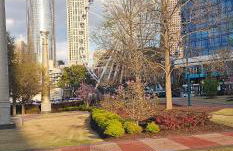 4 Minutes to Downtown by the Atlanta Beltline Trail in the Cabbagetown Neighborhood - Foto 14