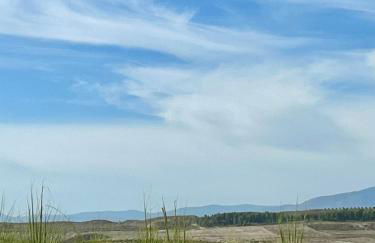 LAS DUNAS Caves - Olivo - Foto 26